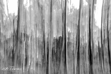 Schwarz-Weiss-Aufnahmen