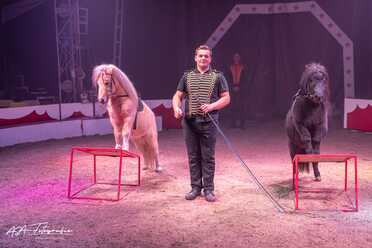 Cirkus Candy