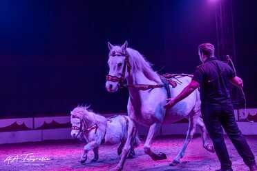 Cirkus Candy