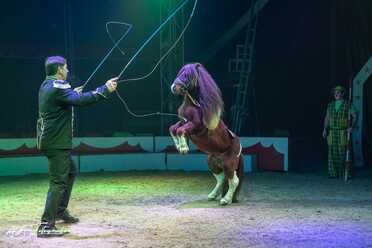 Cirkus Candy