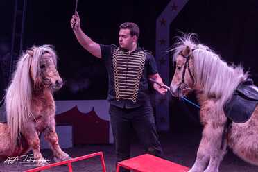 Cirkus Candy