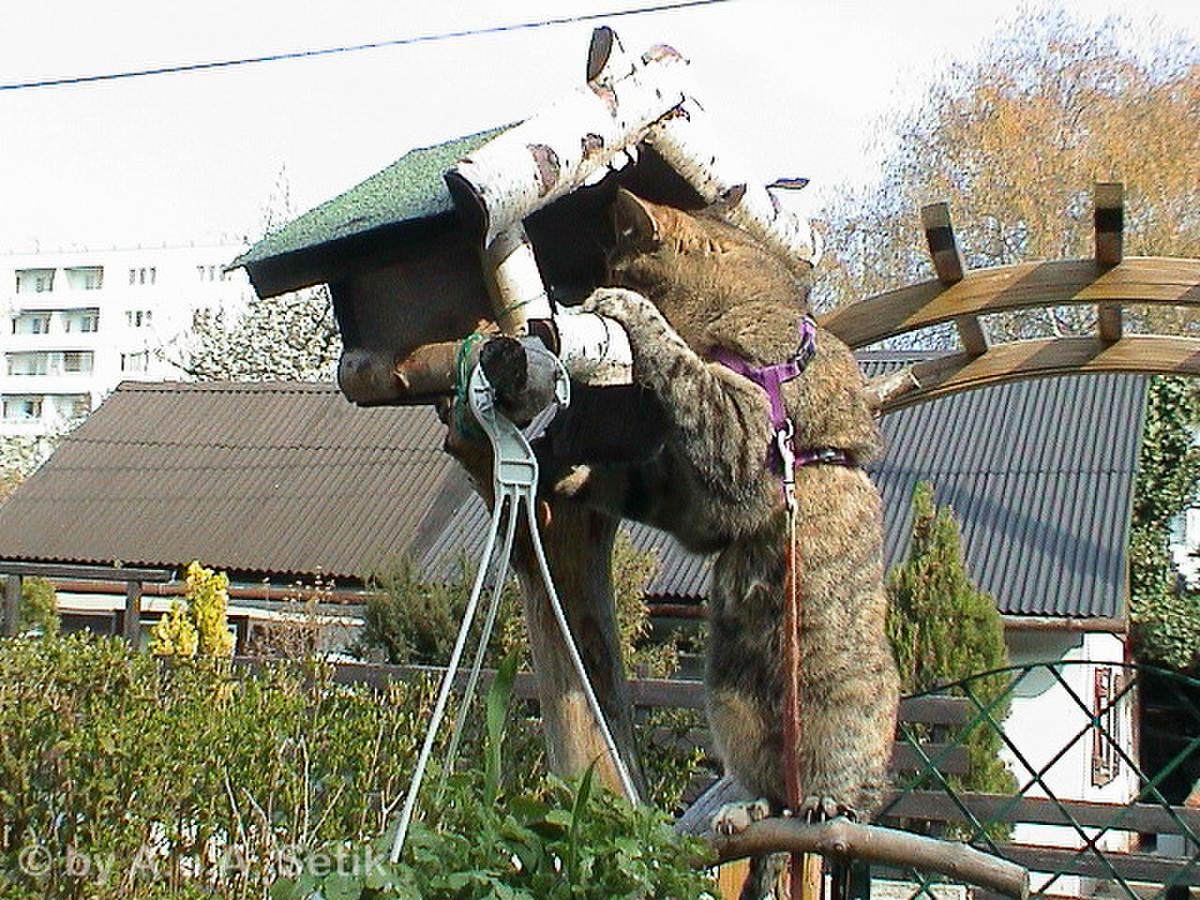 DSC00173