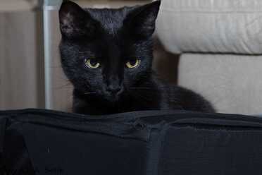 Salem_005