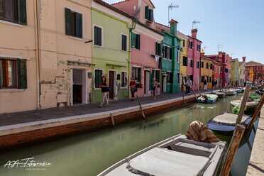 Insel von Venedig