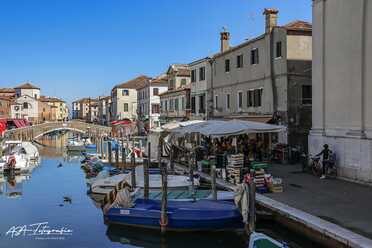 Chioggia - 2019