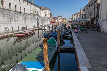Chioggia - 2019