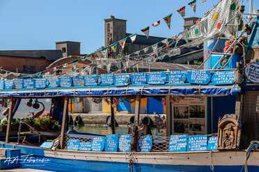 Chioggia - 2019