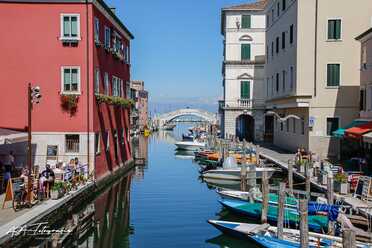 Chioggia - 2019