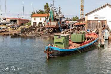 Chioggia - 2019