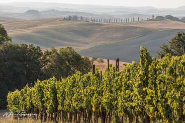 Toskana_Siena