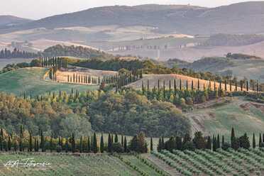 Toskana_Siena