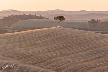 Toskana_Siena