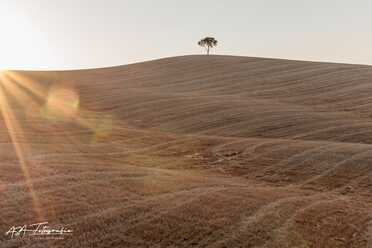 Toskana_Siena