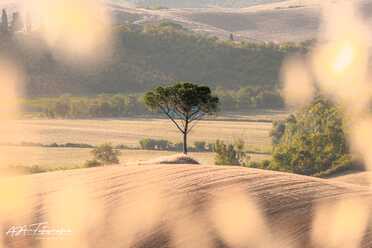 Toskana_Siena