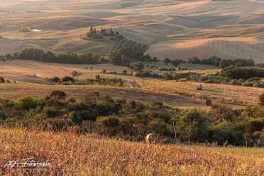 Toskana_Siena