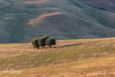 Toskana_Siena