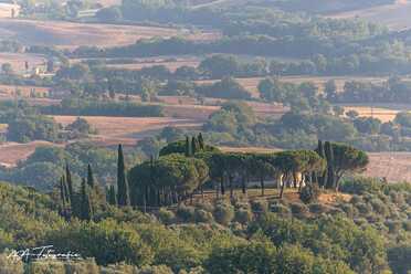 Toskana_Siena