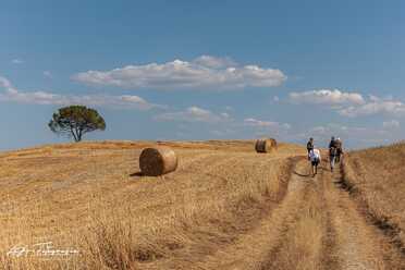 Toskana_Siena