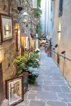 S. Cortona