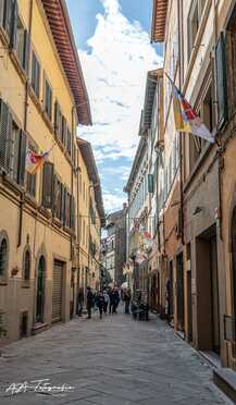 S. Cortona