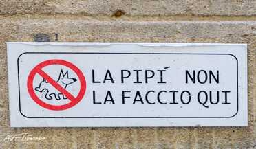 S. Cortona