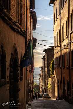 S. Cortona