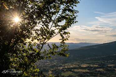 S. Cortona