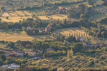 S. Cortona