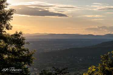S. Cortona