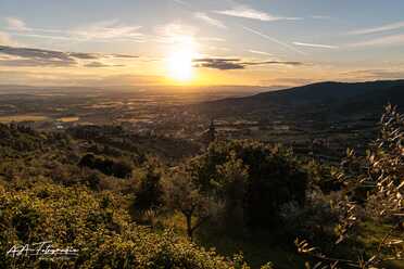 S. Cortona