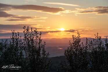 S. Cortona