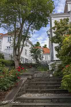 Bergen_2024