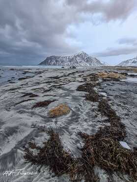 Lofoten