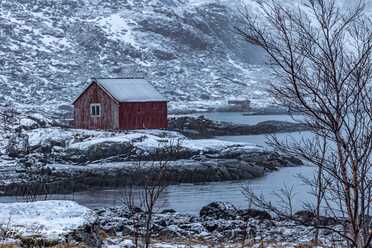 Lofoten