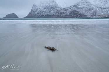 Lofoten
