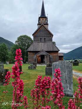 Sognefjord_Umgebung_2023