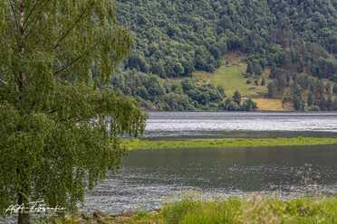 Sognefjord_Umgebung_2023