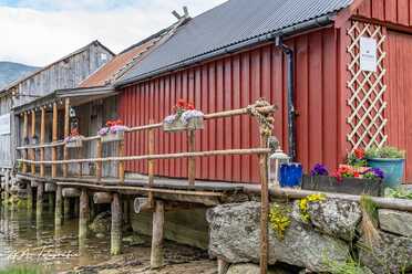Sognefjord_Umgebung_2023