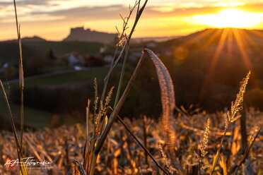 Suedoststeiermark