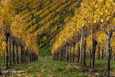 Suedoststeiermark