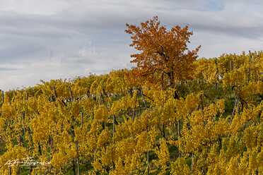 Suedoststeiermark