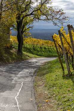 Suedoststeiermark