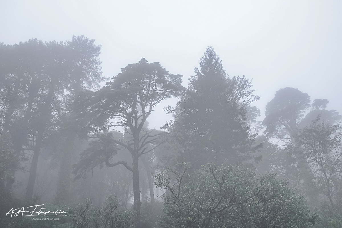 Sintra_012