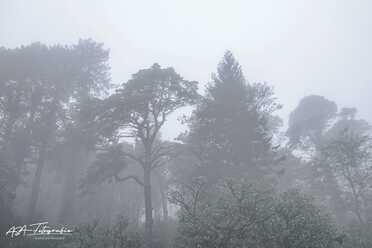 Sintra_012