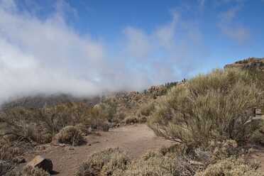 Teneriffa_2024