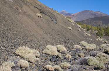 Teneriffa_2024