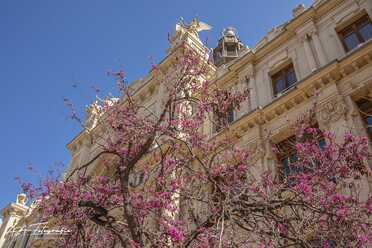 Valencia_2026