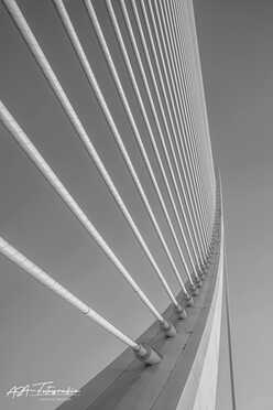 Valencia_2026