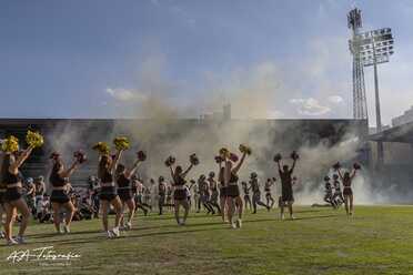 Vienna Vikings_003