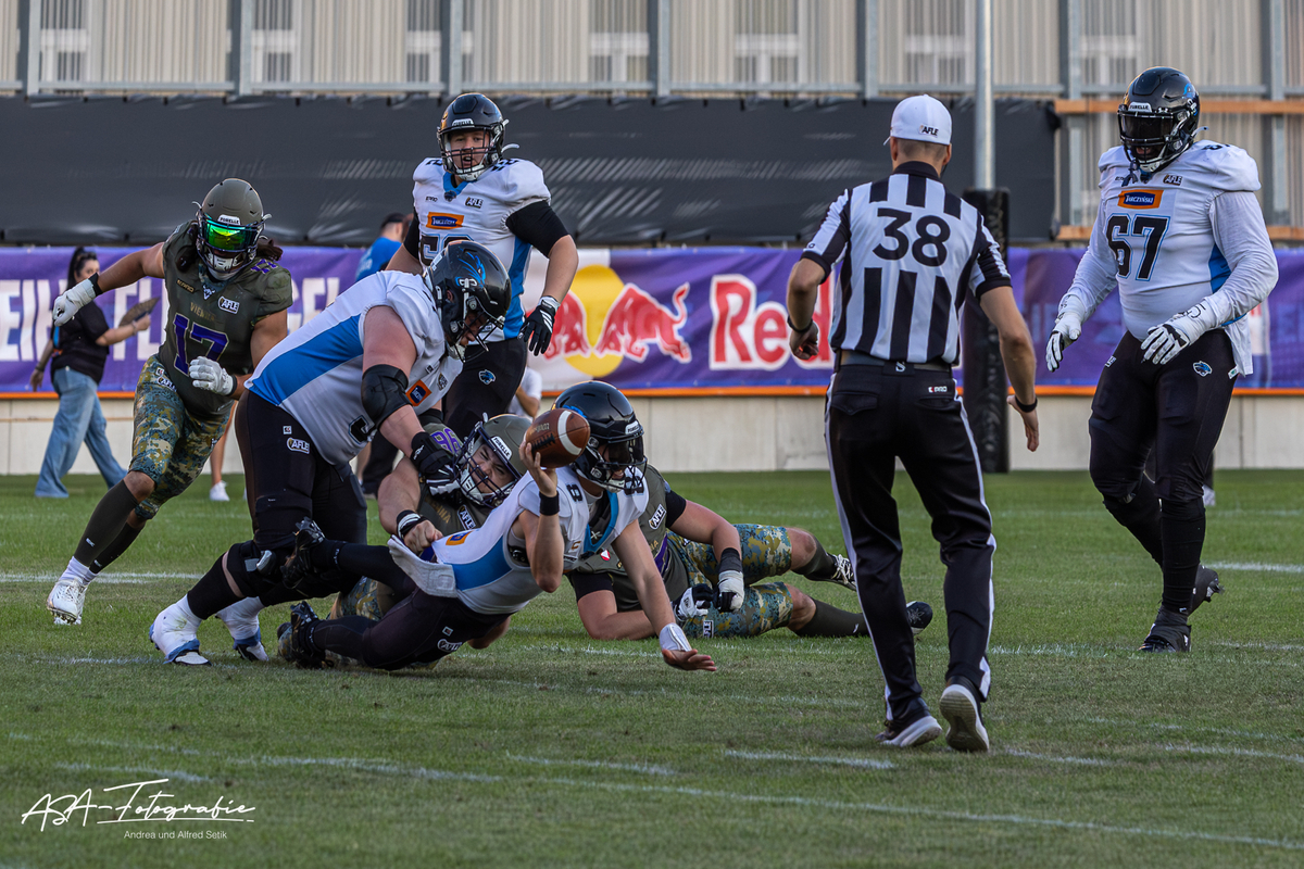 Vienna Vikings_028